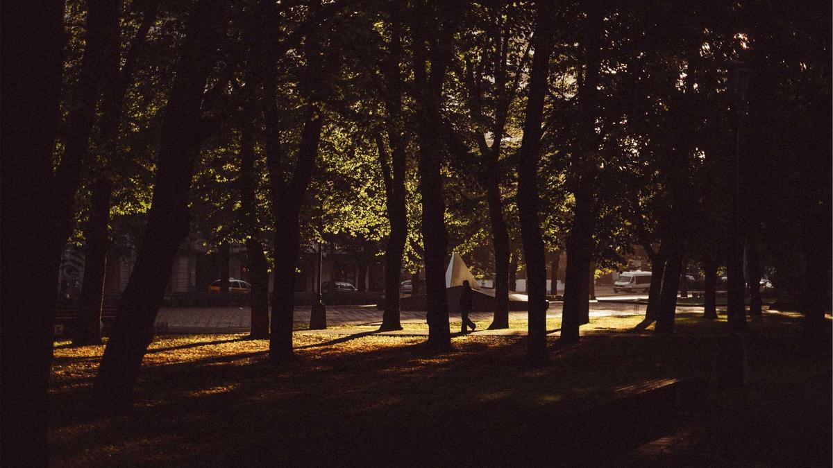 African Creators: Monetizing Passion in the Digital Economy