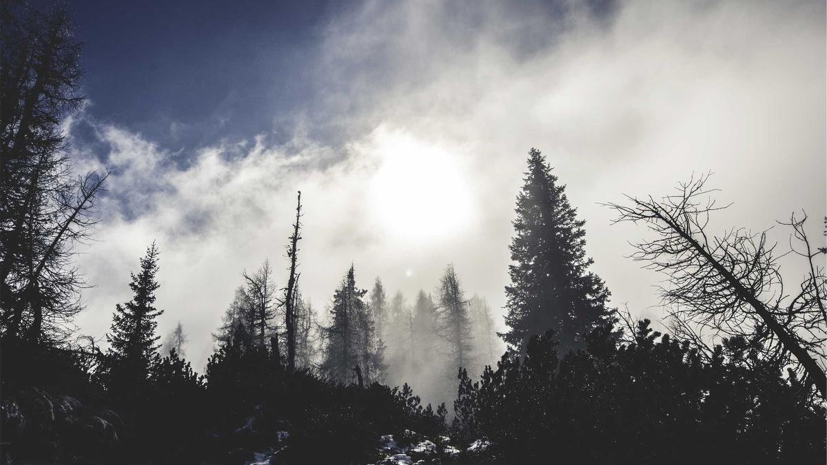 Nocode Tools: Building Your Business Without Code