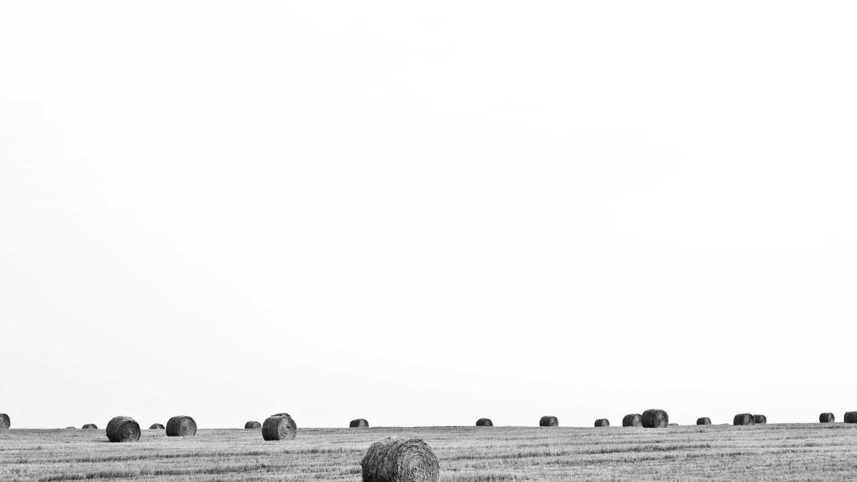 Remote Work: Mental Health Strategies for Success